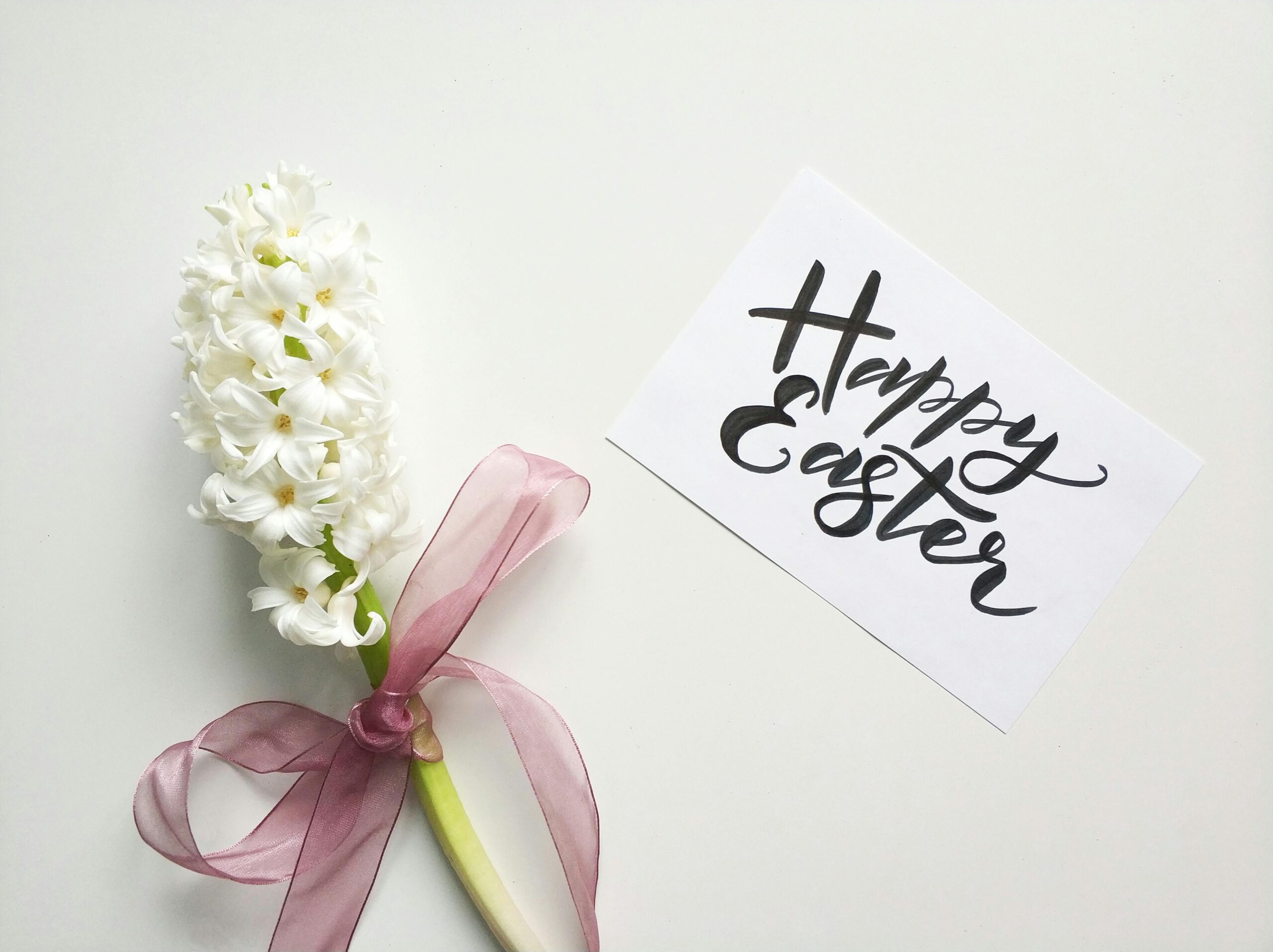 White hyacinth with ribbon and Happy Easter card on a white background.